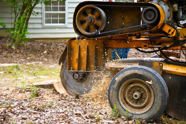 Stump Grinding - Valley Lawn Care & Landscaping - (540) 974-8007